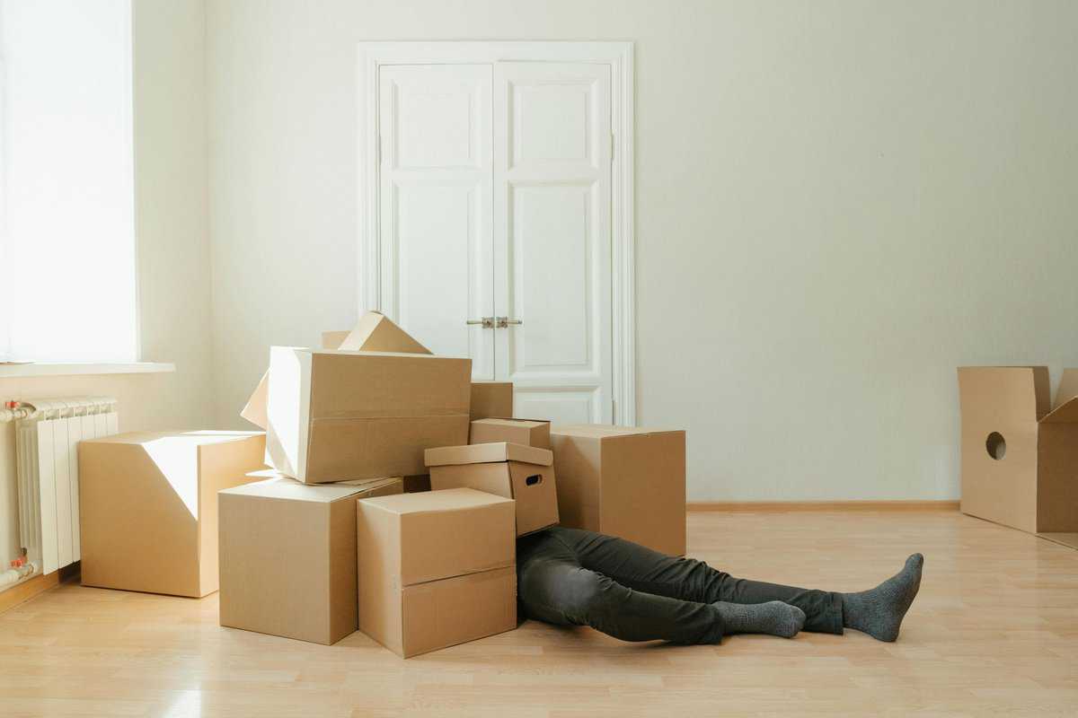 man under moving boxes